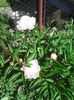 Photo0099