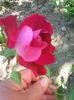 Photo0102