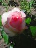 Photo0105