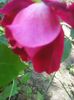 Photo0107
