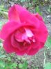 Photo0111
