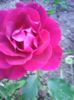 Photo0112