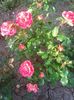 Photo0120