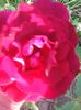 Photo0122