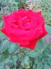Photo0123
