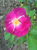 Photo0124