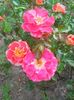 Photo0125