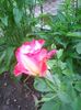 Photo0130