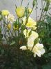 Photo0136