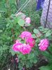 Photo0138