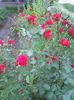Photo0139