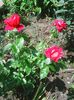 Photo0143