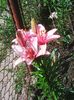 Photo0144
