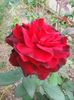 Photo0154