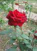 Photo0155