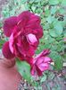 Photo0156