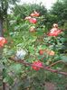 Photo0157