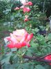 Photo0158