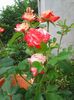 Photo0159