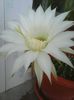 Photo0164