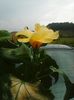 Photo0165