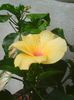Photo0166