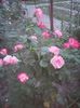Photo0167