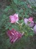 Photo0168