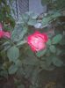 Photo0170