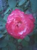 Photo0171