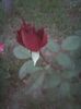 Photo0172