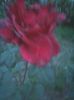Photo0173