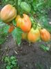 Photo0174