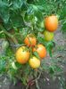 Photo0176