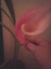 Photo0186