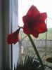 Photo0190