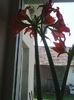 Photo0196
