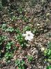 Photo0199