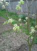 Photo0201
