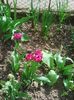 Photo0206