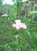 Photo0209