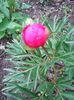 Photo0218
