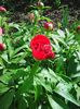 Photo0223