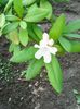 Photo0225