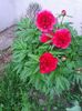 Photo0228