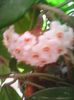 Photo0233