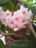 Photo0234