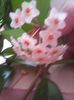 Photo0235