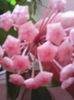 Photo0236
