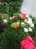 Photo0243